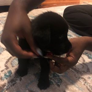 Meet your Posher, Shawntae